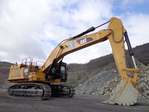 CAT374FL01