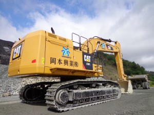 CAT374FL02